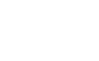 Prime logo